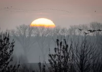 Rekordowo ciepłe pierwsze dni nowego roku. W nocy było +17,5 st.  - zdjęcie główne