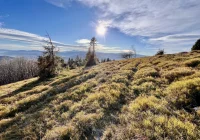 Beskidy: Trudne warunki na szlakach; jest ślisko i grząsko - zdjęcie główne