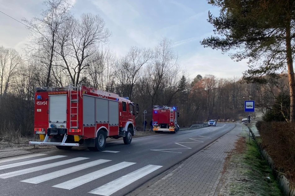 Samochód wjechał do rowu, kierująca zabrana do szpitala - zdjęcie 2