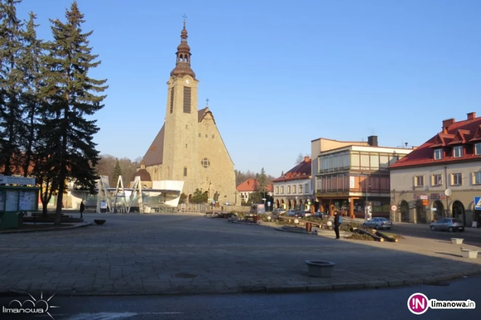 Wymiana Drzew na Rynku w Limanowej - zdjęcie 4