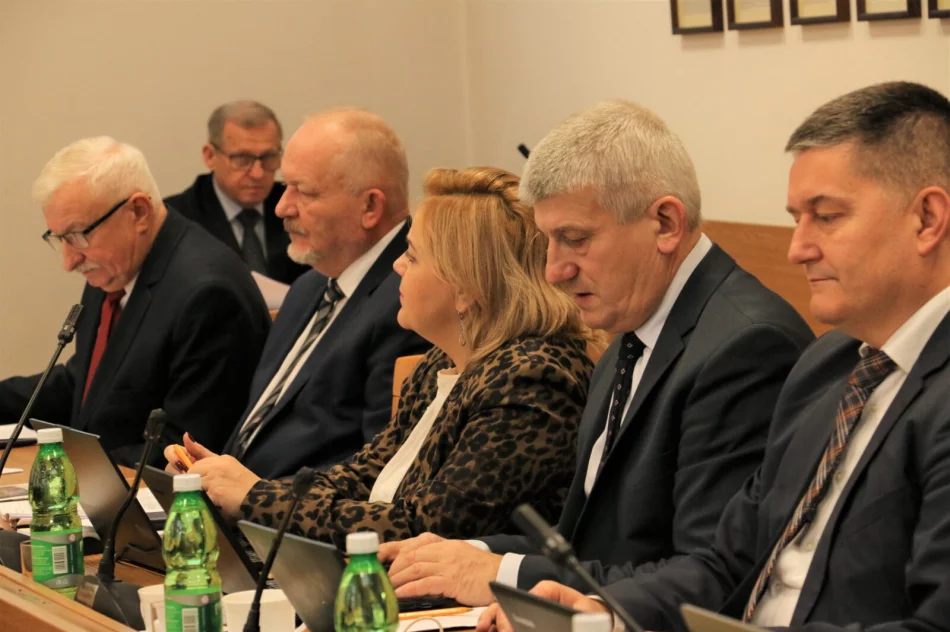 Budżet "nie gorszy" niż przed rokiem, ma dalej rozwijać miasto - zdjęcie 4