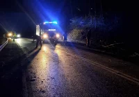 Powalone drzewa i podtopienie budynku - zdjęcie główne