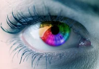 Rozwój technologii umożliwia przestępcom m.in. zeskanowanie siatkówki naszego oka - zdjęcie główne