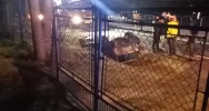 Dachowanie na "krajówce", dwie osoby trafiły do szpitala - zdjęcie 2