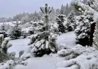 Alerty o intensywnych opadach deszczu i śniegu - zdjęcie główne