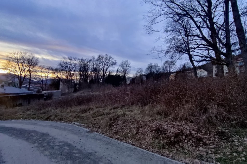 Kupili od spółki teren dawnego parku podworskiego. Co tam powstanie? - zdjęcie 2