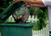 Ważna informacja: bez naklejki nie odbiorą śmieci - zdjęcie główne