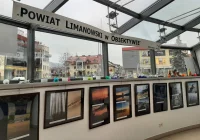 Nagrodzone zdjęcia w buzodromie - zdjęcie główne