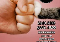 "Kociarze" 20 stycznia w Kinie Konesera - zdjęcie główne