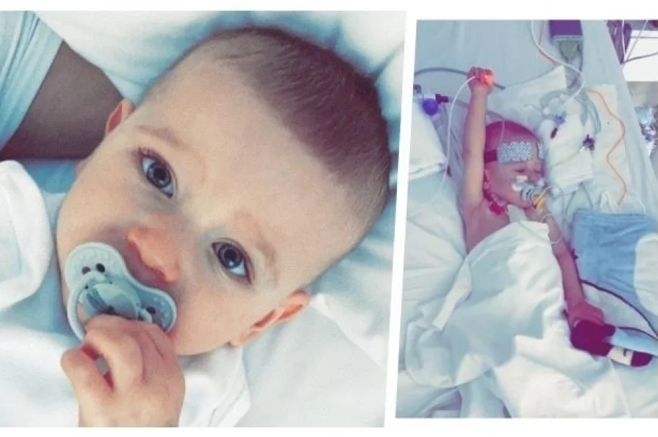 Brakuje już tak niewiele! Maksiu czeka na wsparcie - zdjęcie 2