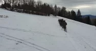 Górskie szkolenie 114 batalionu lekkiej piechoty w Limanowej - zdjęcie 2