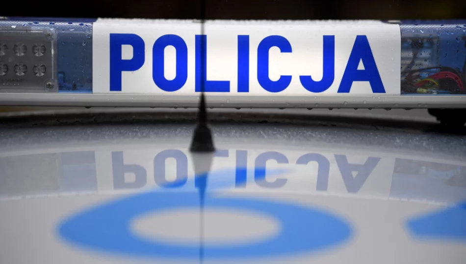 Suzuki w rowie, pouczenie dla kierującej - zdjęcie 1