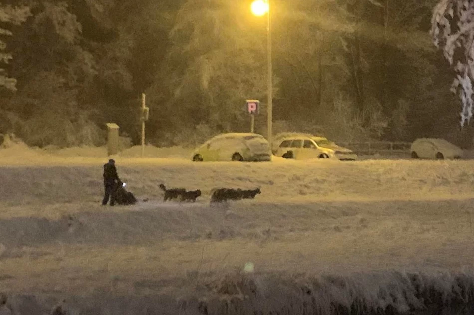 Niechlubny rekord przejazdu przez miasto. Kierowców ratuje operator odśnieżarki chodników - zdjęcie 3