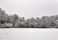 Komunikat turystyczny GPN - zdjęcie główne