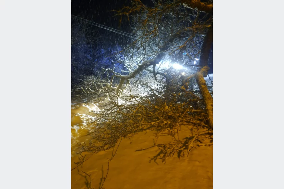 Wciąż występują braki prądu - opóźnienia w usuwaniu awarii - zdjęcie 3