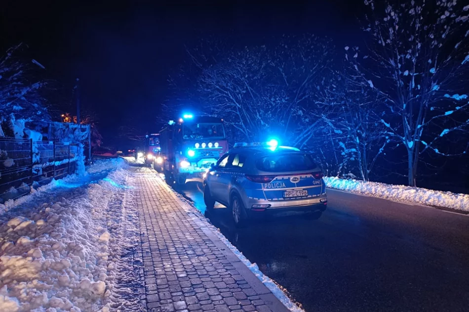 Spłonął sklepik z warzywami - zdjęcie 2