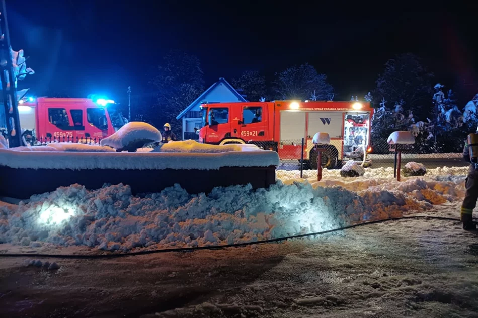 Spłonął sklepik z warzywami - zdjęcie 3