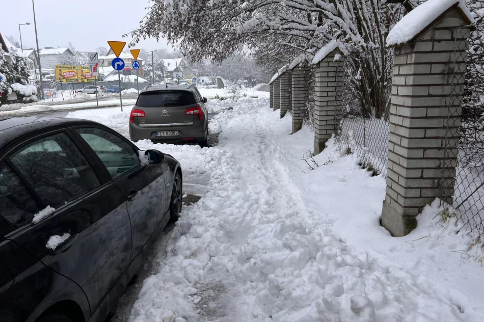 Problem z chodnikami i parkingami - zdjęcie 2