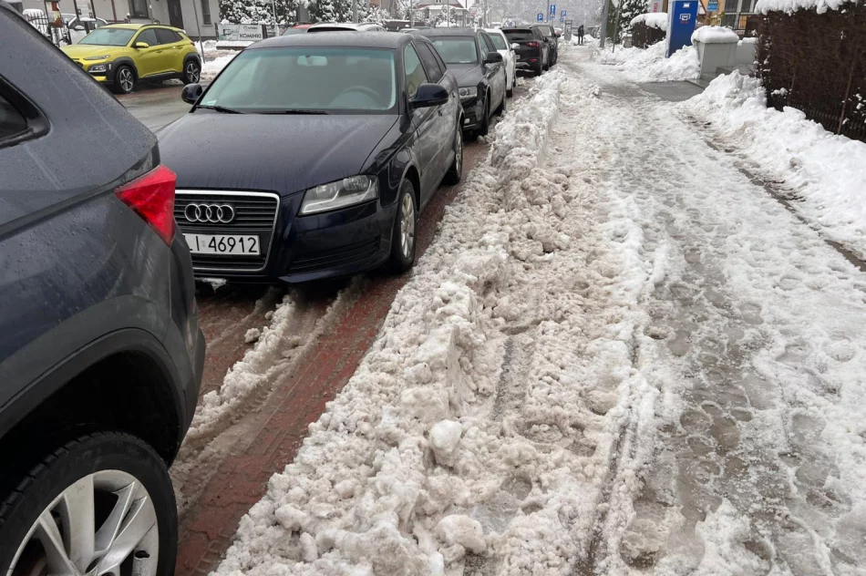 Problem z chodnikami i parkingami - zdjęcie 9