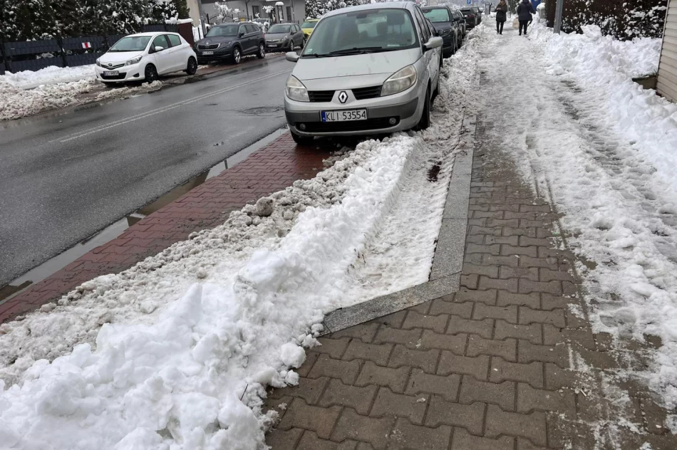 Problem z chodnikami i parkingami - zdjęcie 11