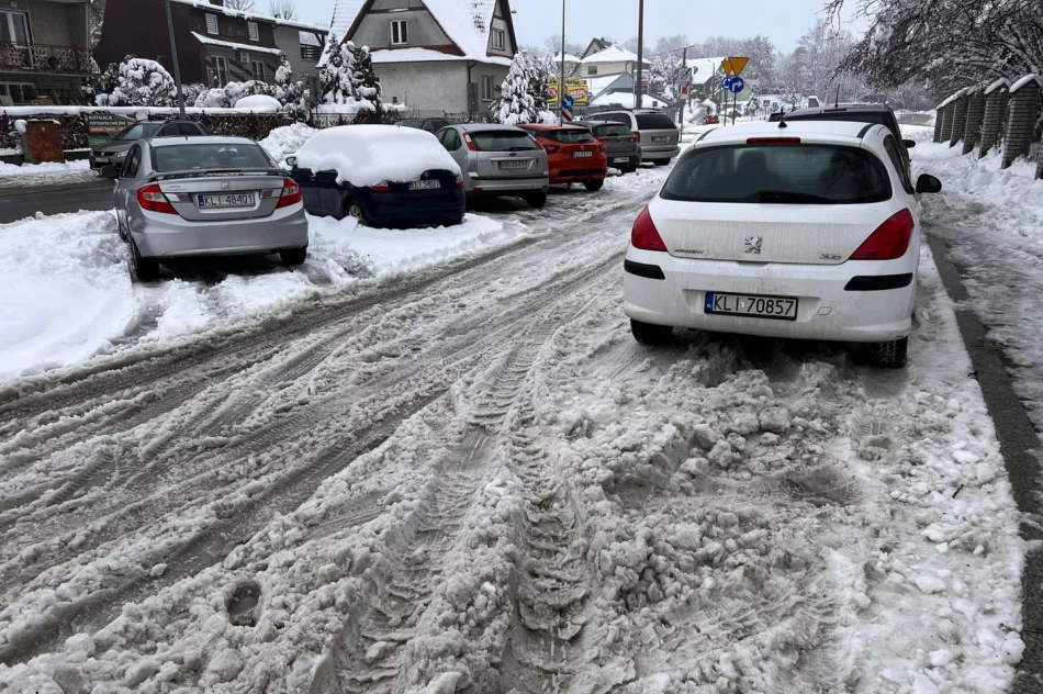 Problem z chodnikami i parkingami - zdjęcie 12