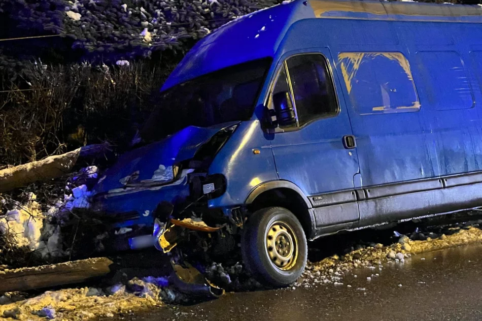 Bus wypadł z jezdni i złamał słup - zdjęcie 2