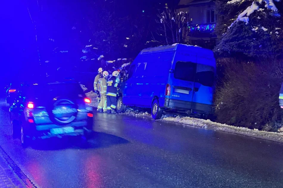 Bus wypadł z jezdni i złamał słup - zdjęcie 3