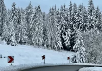 Prognoza pogody na kolejne 7 dni - łagodna zima - zdjęcie główne