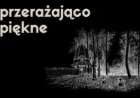 „Przerażająco piękne” – cmentarz wojskowy na Jabłońcu tematem cyklu filmowego o architekturze Małopolski - zdjęcie główne