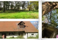 Miasto za kwotę 318 000 złotych kupiło dwór w Mordarce - zdjęcie główne