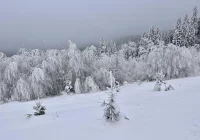 Ślisko na drogach - ostrzeżenie IMiGW - zdjęcie główne