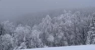 Ślisko na drogach - ostrzeżenie IMiGW - zdjęcie 2
