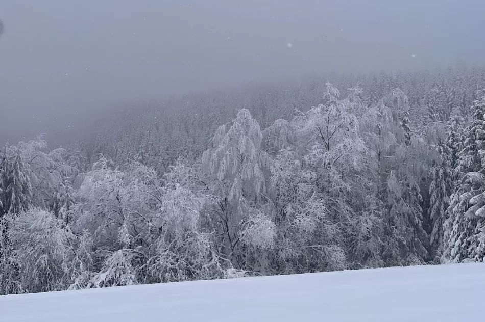 Ślisko na drogach - ostrzeżenie IMiGW - zdjęcie 2