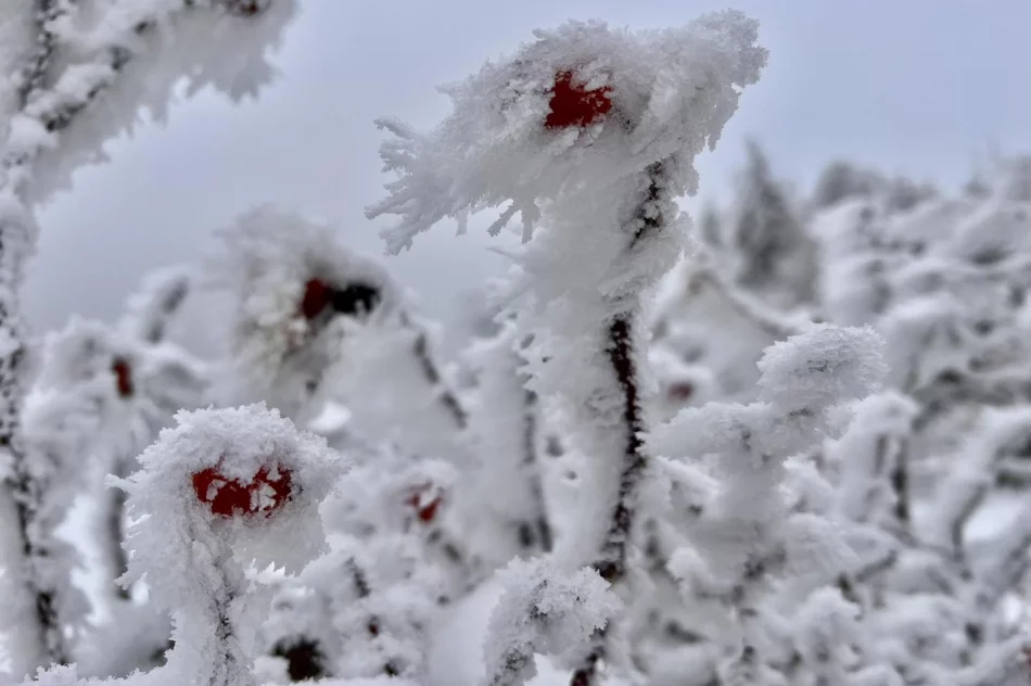 Ślisko na drogach - ostrzeżenie IMiGW - zdjęcie 3
