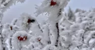 Ślisko na drogach - ostrzeżenie IMiGW - zdjęcie 3