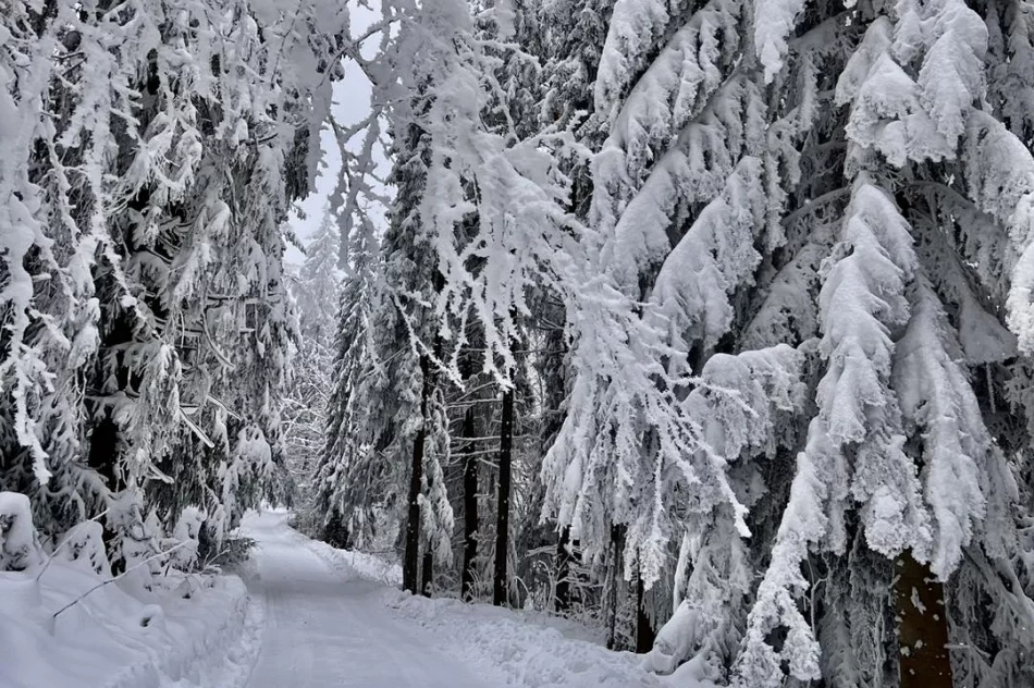 Ślisko na drogach - ostrzeżenie IMiGW - zdjęcie 4