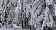 Ślisko na drogach - ostrzeżenie IMiGW - zdjęcie 4