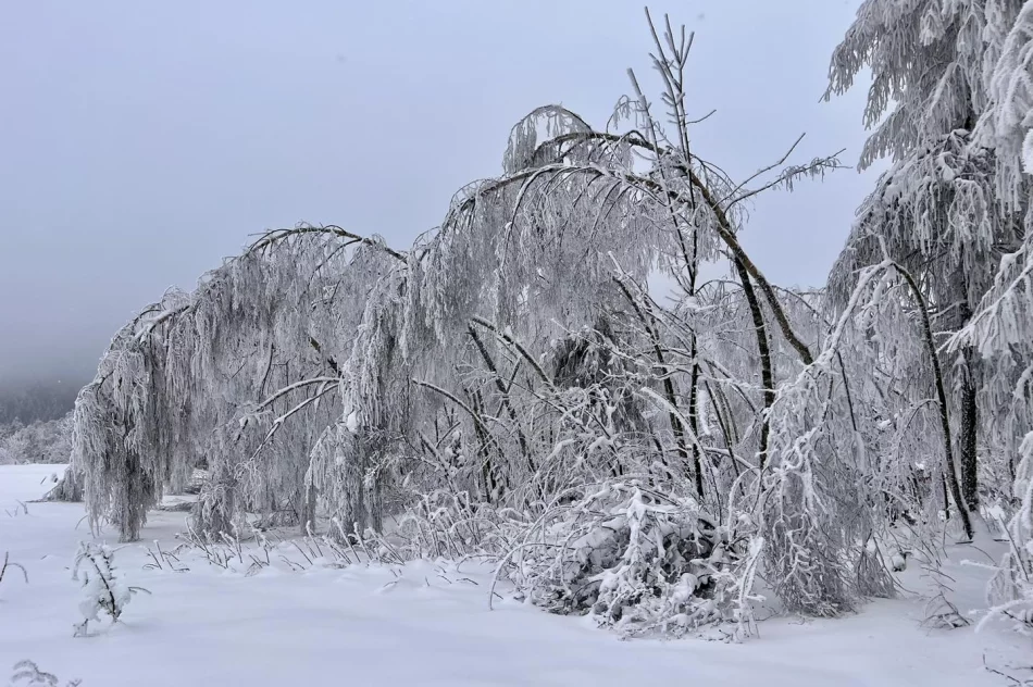 Ślisko na drogach - ostrzeżenie IMiGW - zdjęcie 6