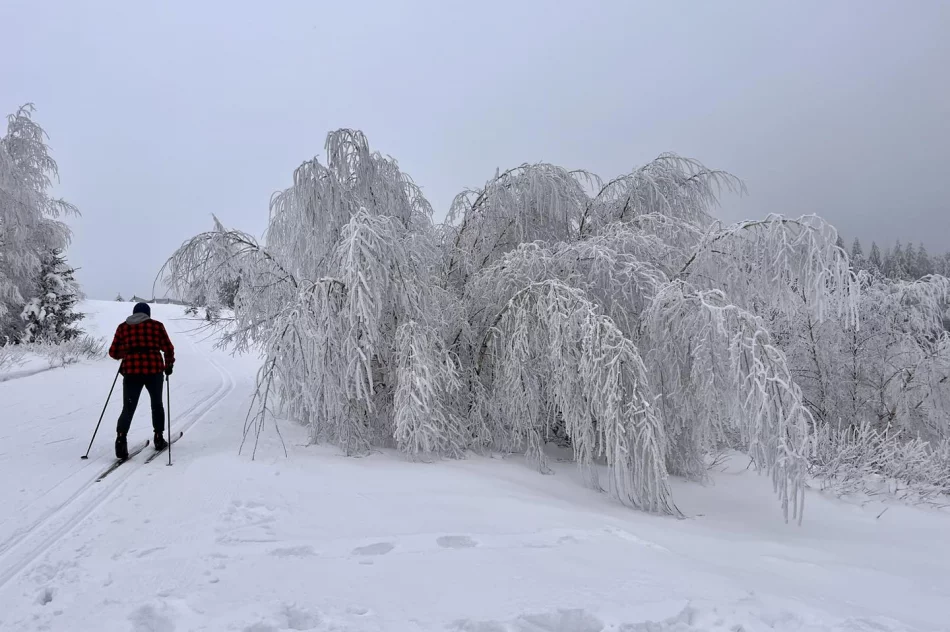 Ślisko na drogach - ostrzeżenie IMiGW - zdjęcie 7