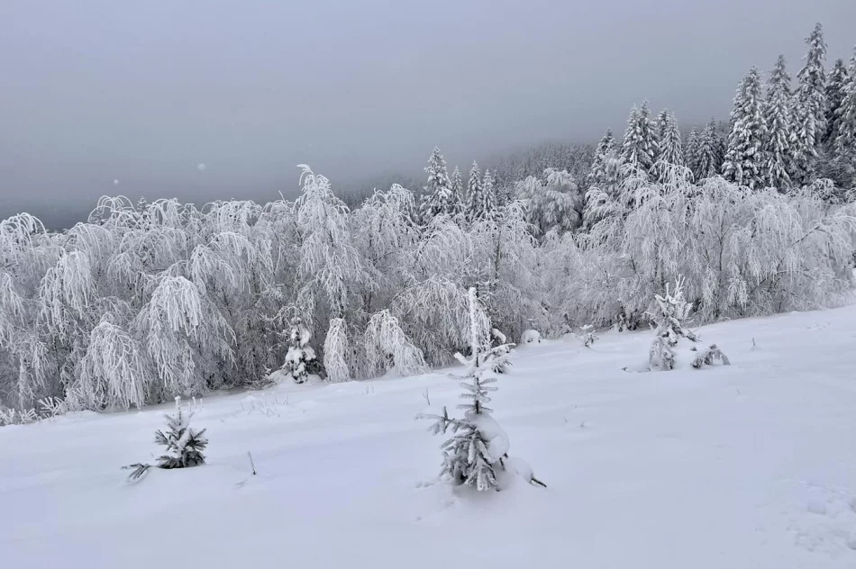 Ślisko na drogach - ostrzeżenie IMiGW - zdjęcie 8