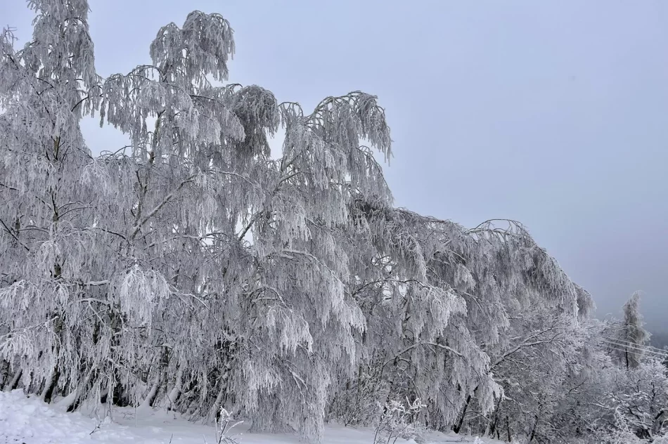 Ślisko na drogach - ostrzeżenie IMiGW - zdjęcie 9