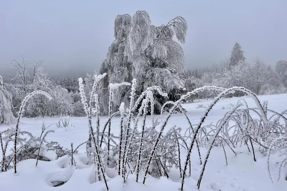Ślisko na drogach - ostrzeżenie IMiGW - zdjęcie 10