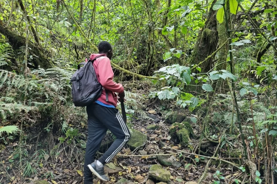 Wyznacza szlaki w Ugandzie, w tle negocjacje z... kłusownikami - zdjęcie 2