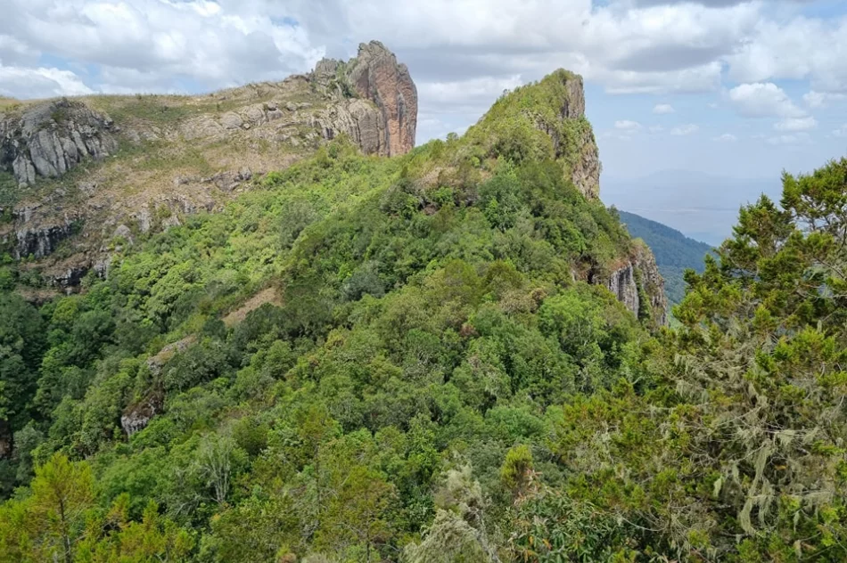 Wyznacza szlaki w Ugandzie, w tle negocjacje z... kłusownikami - zdjęcie 3