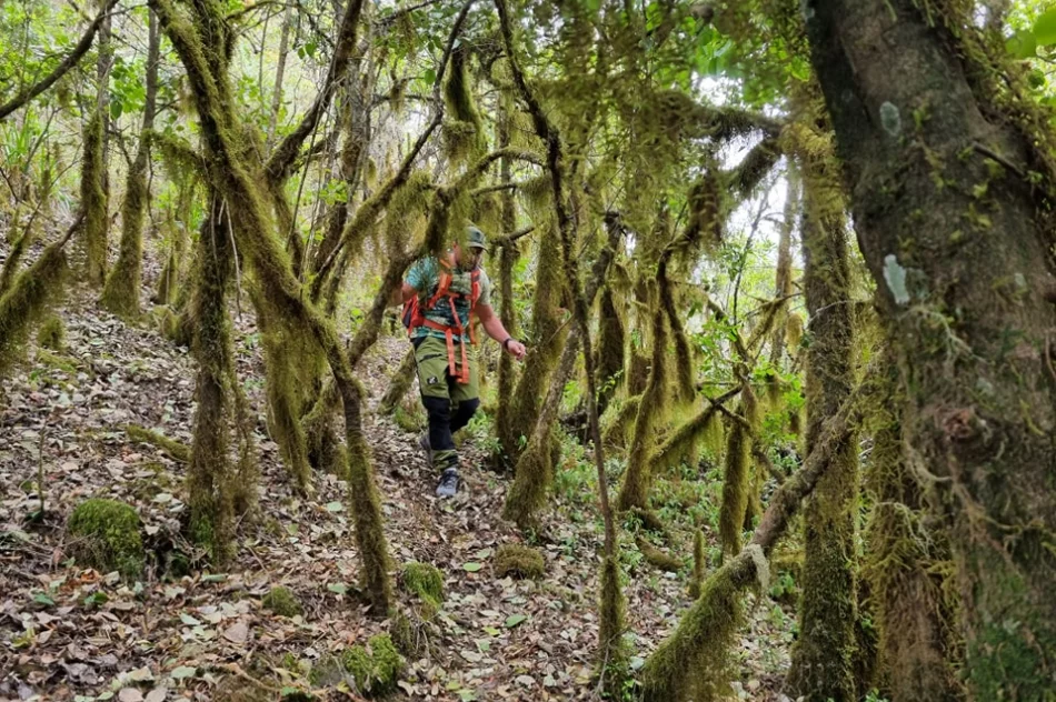 Wyznacza szlaki w Ugandzie, w tle negocjacje z... kłusownikami - zdjęcie 4
