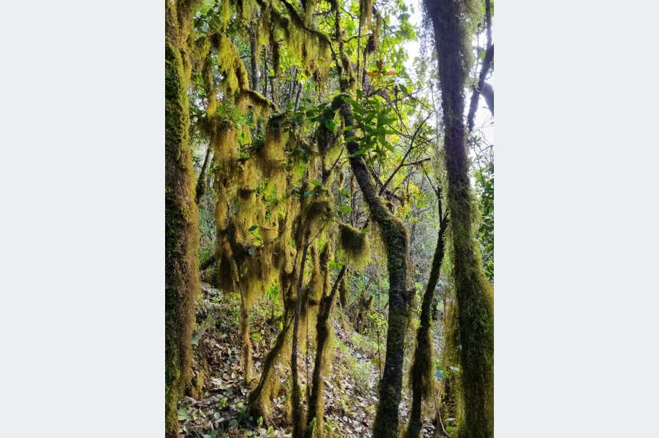 Wyznacza szlaki w Ugandzie, w tle negocjacje z... kłusownikami - zdjęcie 7