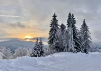 Prognoza na 5 tydzień roku - wiatr i śnieg - zdjęcie główne