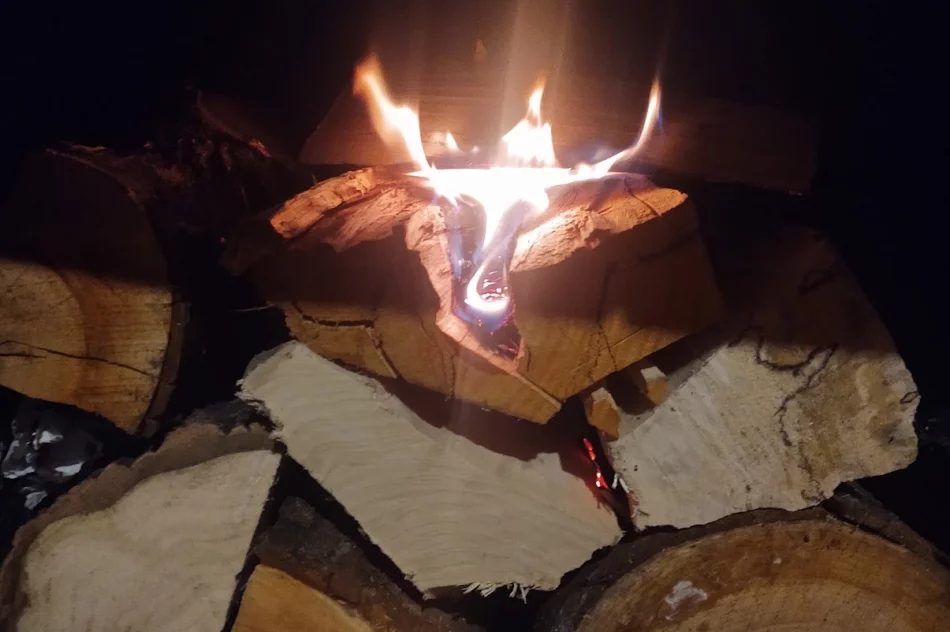 Drewno Kominkowe, Opałowe do Piecy CO cięte na 25cm Olcha PROMOCJA - zdjęcie 3