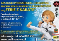 ARS Klub Kyokushinkai Limanowa zaprasza na „Ferie z Karate” - zdjęcie główne