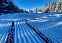 Wejścia na żywo w TVP2 - zdjęcie główne